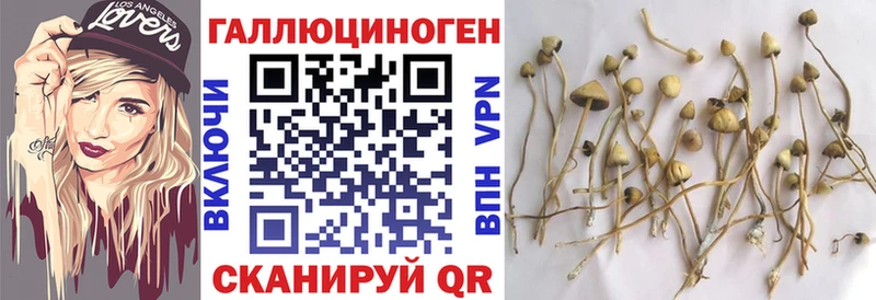 Галлюциногенные грибы прущие грибы  Верхний Уфалей 